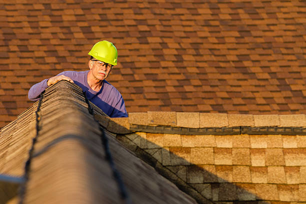 Best Local Roofing Companies  in Loyal, WI