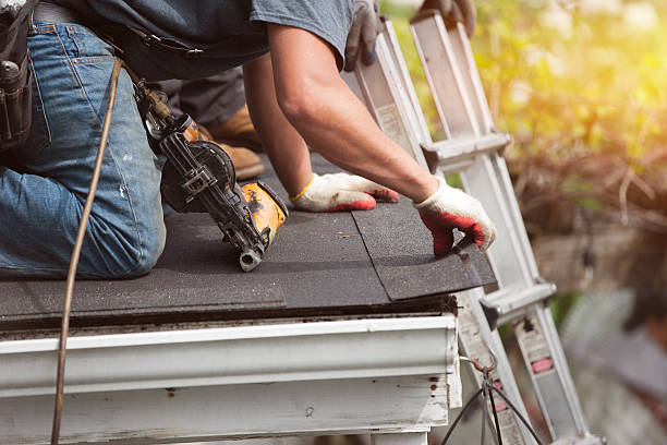 Best Roof Repair Services  in Loyal, WI