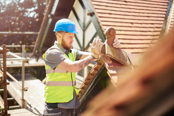Best Metal Roofing Contractor  in Loyal, WI