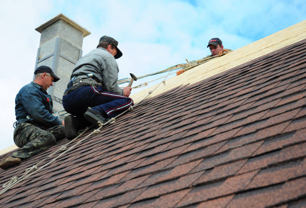 Best Roof Gutter Cleaning  in Loyal, WI